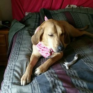 Meet your Posher, Krista